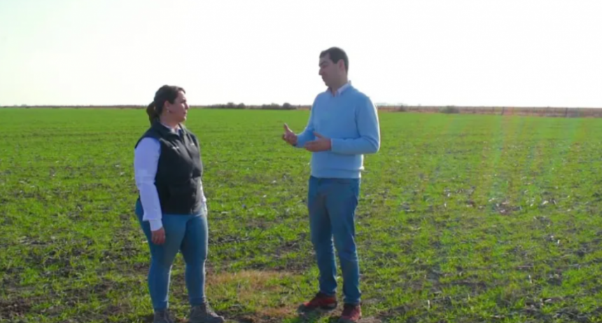 CLAVES ON LINE PARA LA CAMPAÑA FINA 