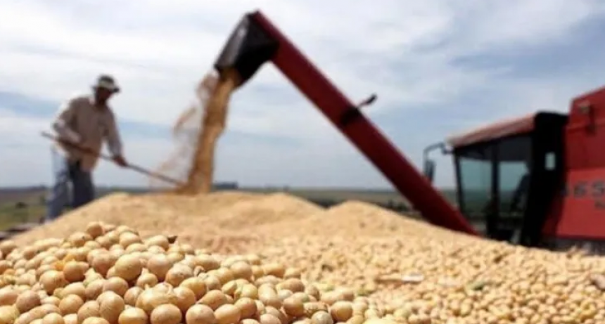 La harina de soja cayó al valor más bajo desde 2010