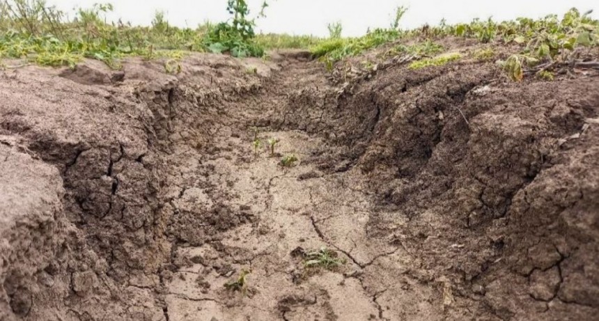 Región Centro: nace una Mesa Interprovincial para la conservación de los suelos
