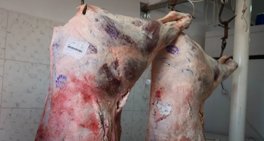 Javier Milei anunciaría baja de retenciones a la carne este sábado en la Expo Rural