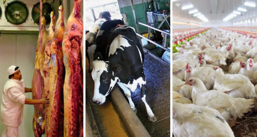 Retenciones: cómo afectan a los productores de Santa Fe las medidas de Milei
