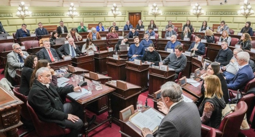 Colegios, Consejos y Cajas profesionales piden su reconocimiento en la Constitución Provincial