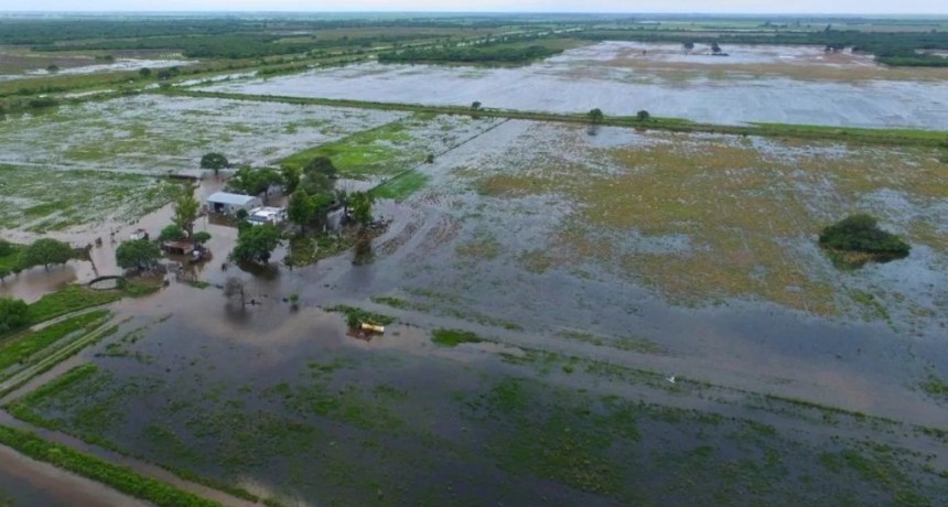 Ganader&iacute;a: con m&aacute;rgenes todav&iacute;a hist&oacute;ricos, en qu&eacute; conviene invertir hoy para enfrentar El Ni&ntilde;o