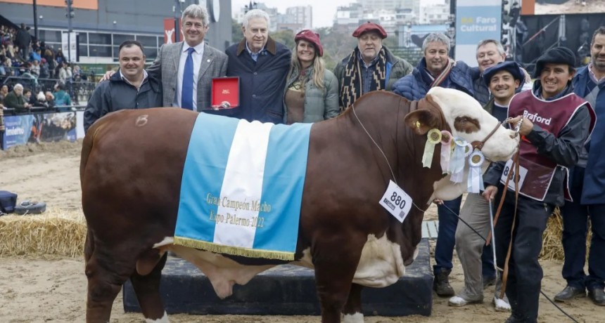 Braford consagró a sus grandes campeones en la Exposición Rural de Palermo