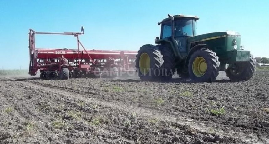 Arrancó la gruesa y el girasol pegaría un salto
