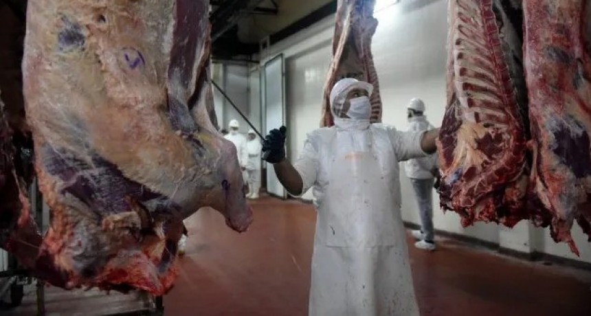 Carne: las exportaciones crecieron 56% en junio