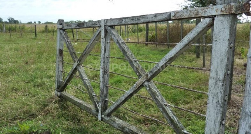 La producción y la sostenibilidad comprometidas 