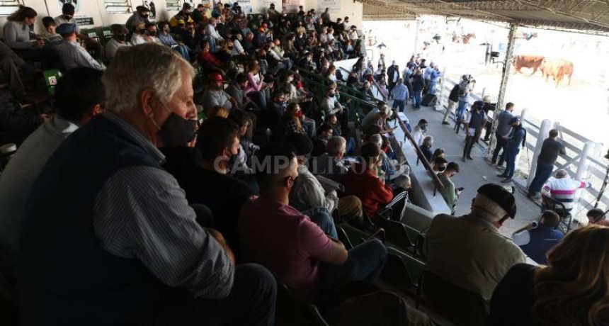 San Justo prepara su gran vidriera  