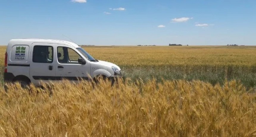 Un mapa triguero basado en 30 años de rindes, climas y manejos