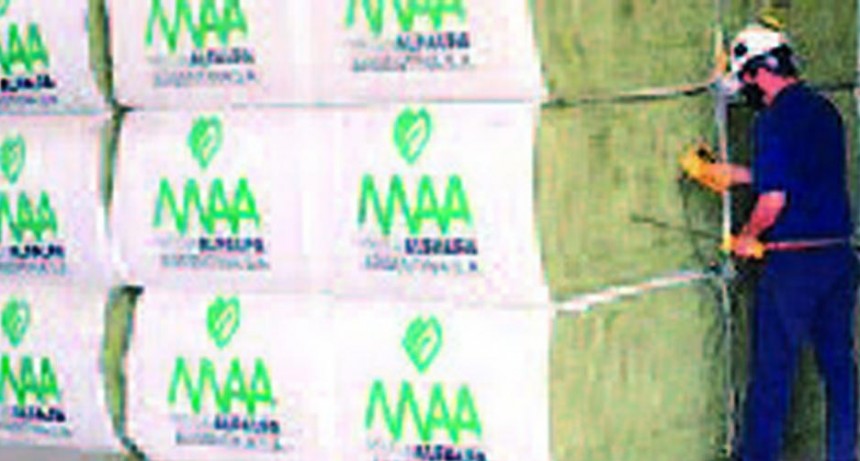 Comenzaron a enviar en esta campaña alfalfa santiagueña a China