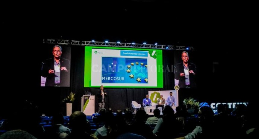  Experiencia, innovación y desarrollo