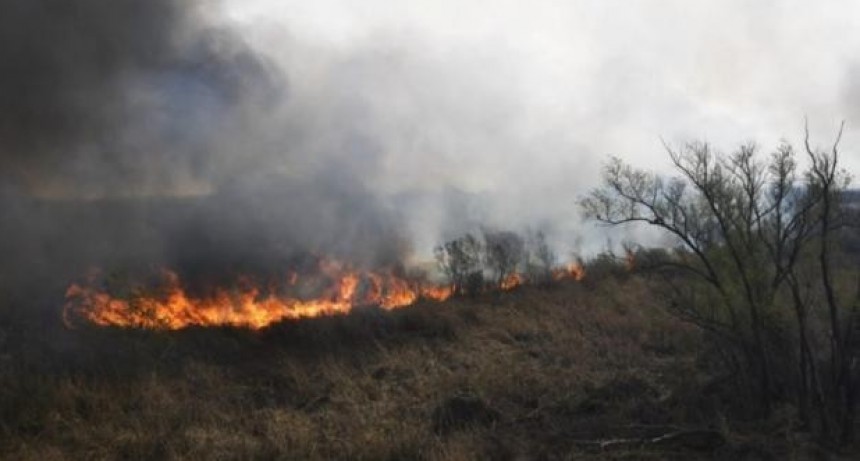 Tres santafesinos fueron detenidos por incendiar campos en la zona de islas frente a Rosario 