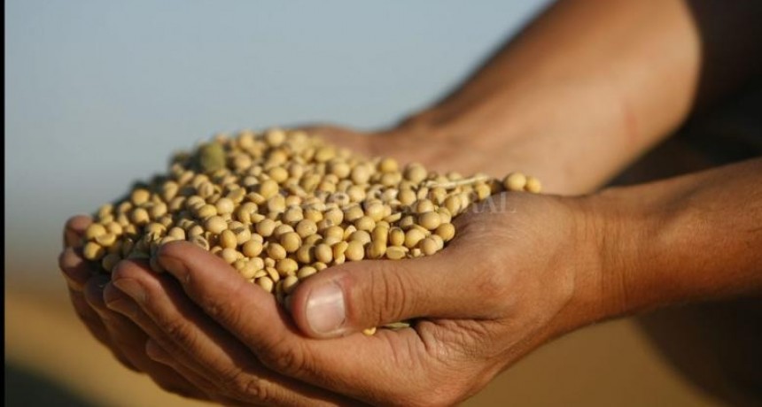  Declaran inconstitucional el cobro de retenciones