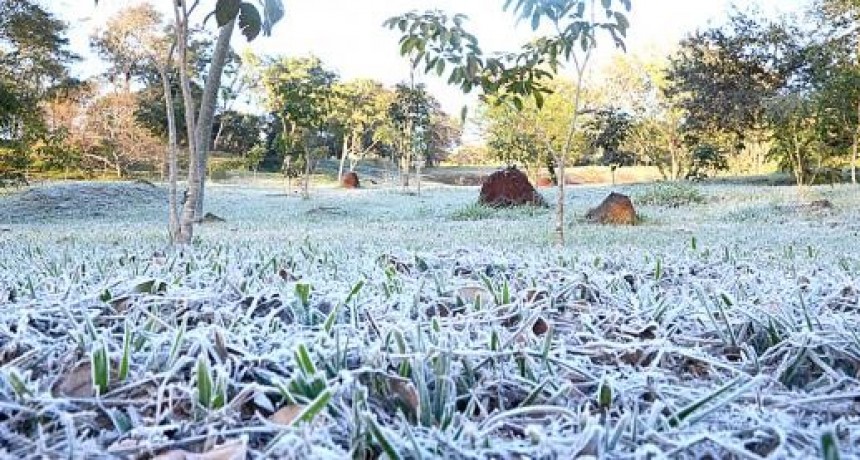 La mañana más fría de agosto en Santa Fe: la sensación térmica marcó 5,4 grados bajo cero