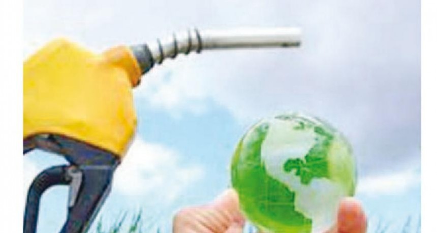 Nuevo combustible impactará en la soja e hidrocarburos
