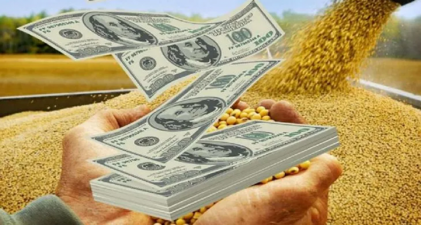 Dólar soja: nueva reunión Mesa de Enlace-Gobierno en busca de que entren más divisas