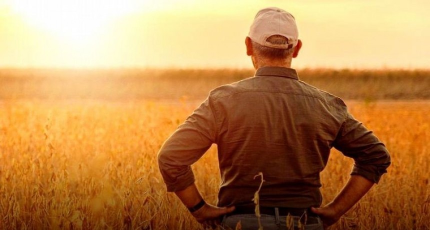 Cae fuerte la confianza de los productores