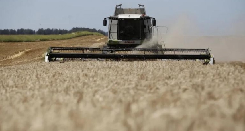  Récord histórico de divisas del agro ¿y entonces?