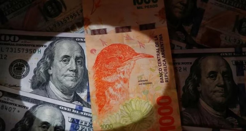 El Banco Central volvió a comprar divisas en el mercado oficial pero el dólar libre saltó a un nuevo récord de 560 pesos