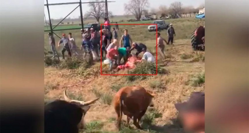 Volcó un camión con vacas: la gente las faenó al costado de la ruta