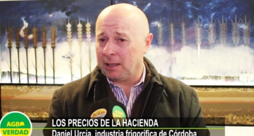&ldquo;Una golondrina no hace verano&rdquo;: Daniel Urcia analiza la suba de precios de la hacienda