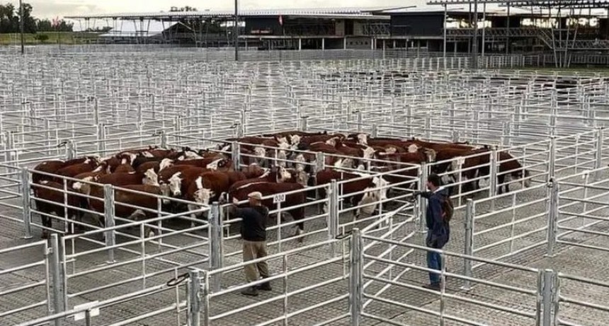  La hacienda en pie recupera precios 