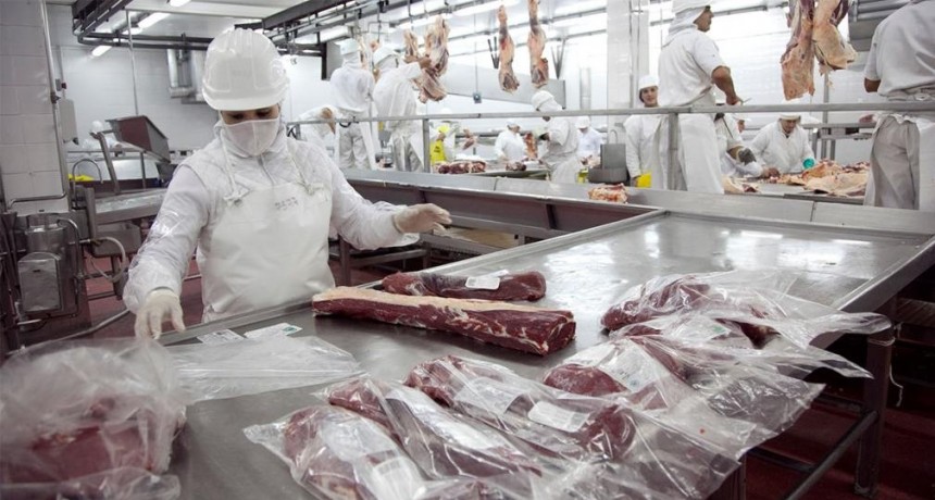 Las exportaciones de carne subieron un 9% en el primer semestre de 2023