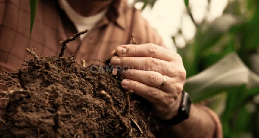 Secuestro de carbono: cómo la agricultura puede ser parte de la solución en la lucha contra el cambio climático