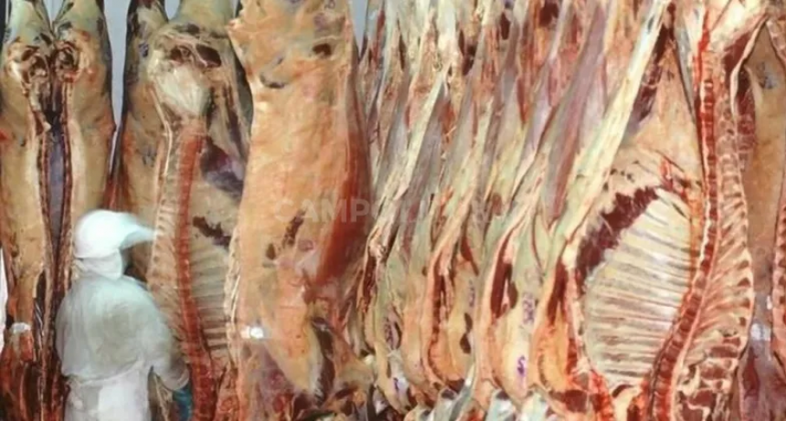  Confusa situación sobre cierre de exportaciones de carne y lácteos