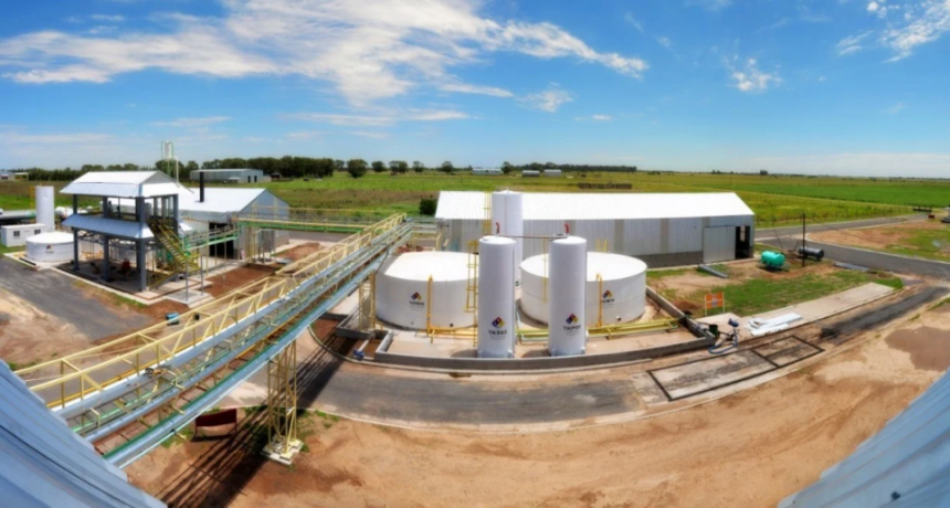 Para la producción de las 27 fábricas de biodiesel