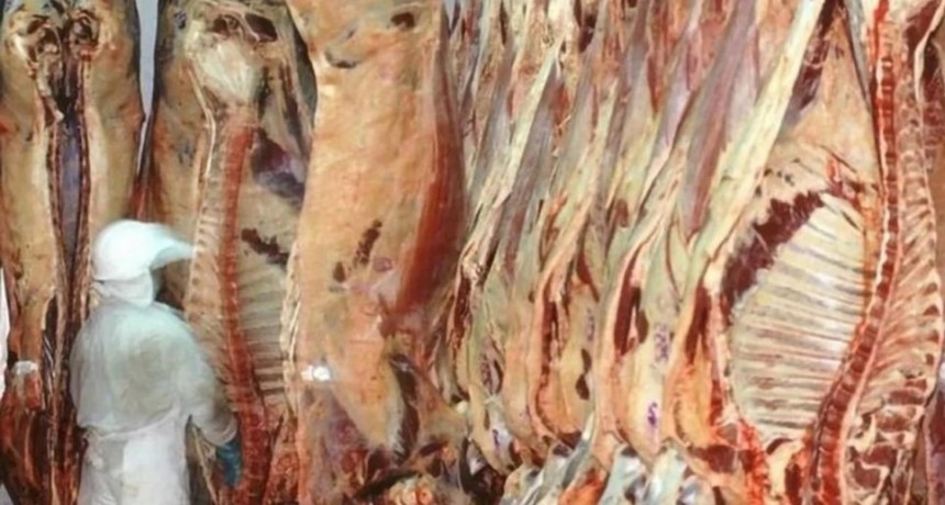 Confusa situación sobre cierre de exportaciones de carne y lácteos