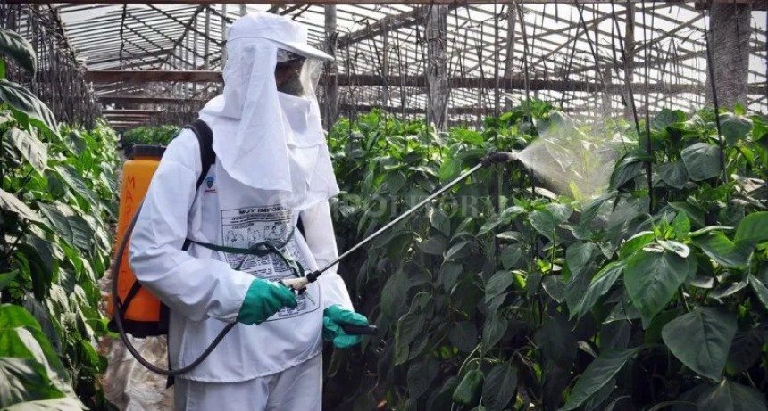  Proveedores de fitosanitarios tendrían complicaciones operativas si no se autorizan nuevas importaciones