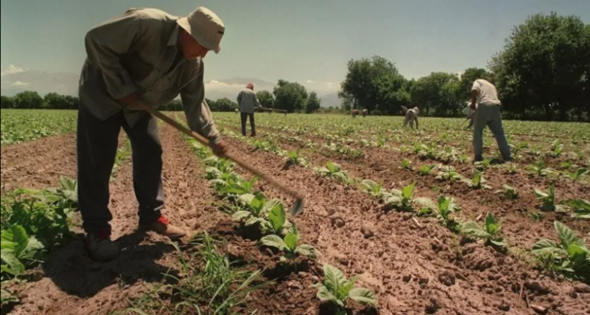 Dictan nuevo incremento salarial para trabajadores rurales  
