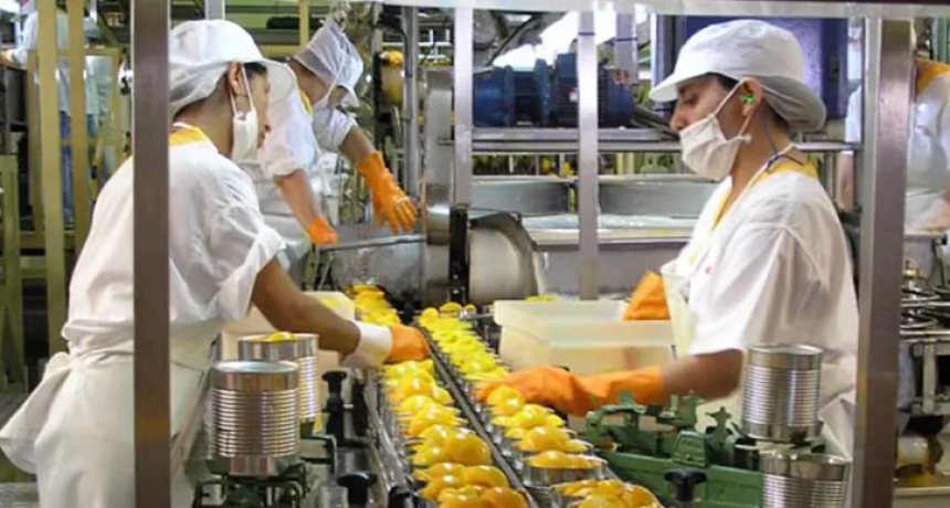 La actividad industrial volvió a caer en junio y acumuló en el primer semestre una baja del 16,1%