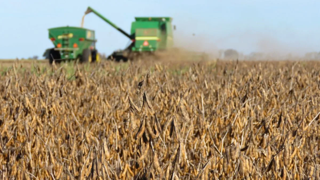 Retenciones y algo más: cuanto le pega el IVA «irrecuperable» a los agricultores de Santa Fe