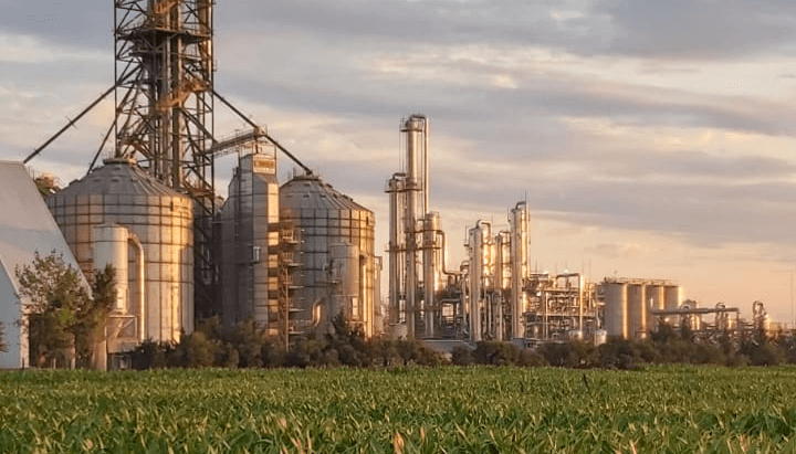 Subas y bajas: el “pulso del agro” late bien en general, pero con algunas irregularidades