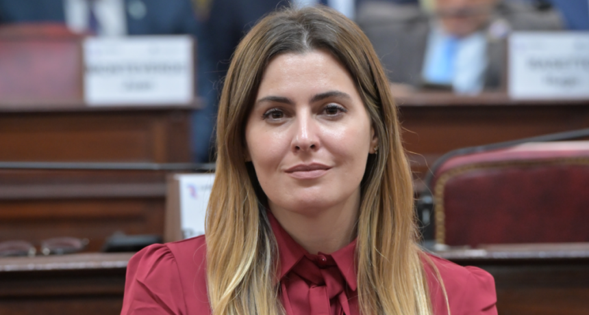 Cattalini sobre el proyecto de Ficha Limpia: “Queremos blindar al Estado de la corrupción”