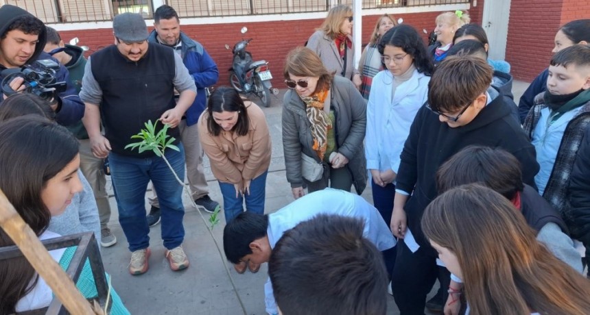San Javier impulsa la forestación urbana con participación comunitaria