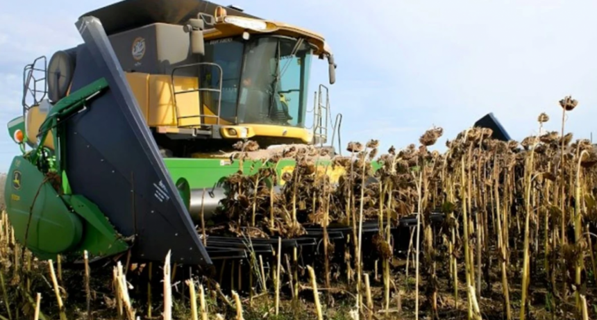 Girasol: exportaciones y molienda alcanzan sus valores más altos en 20 años