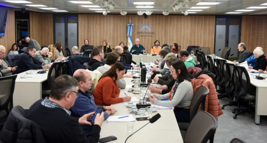 La Cámara de Diputados de la Nación activa en comisiones la agenda que impulsa la oposición