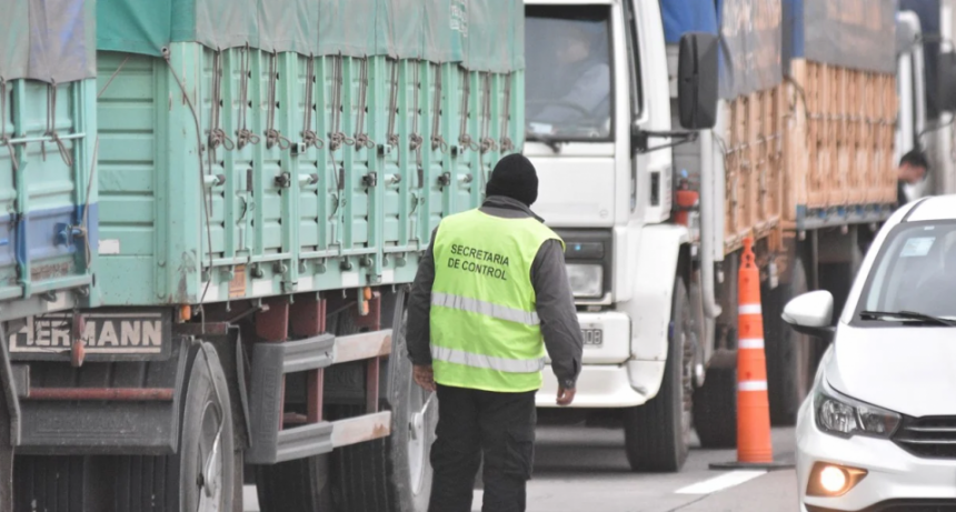 El gobierno nacional habilitó la circulación de bitrenes en el país