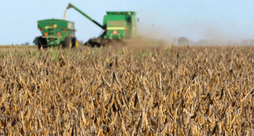 Retenciones y algo m&aacute;s: cuanto le pega el IVA &laquo;irrecuperable&raquo; a los agricultores de Santa Fe