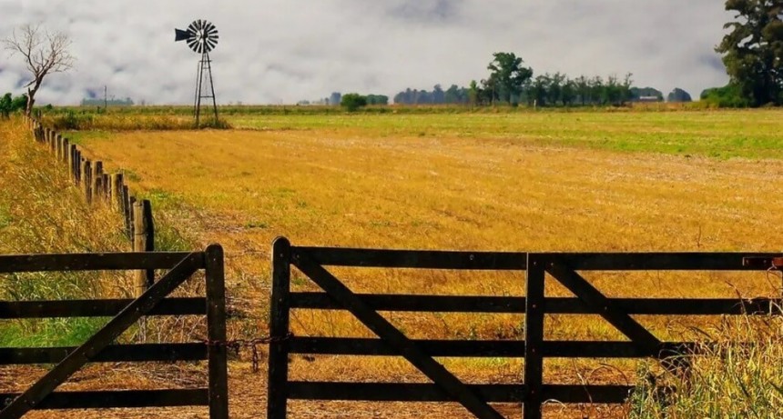Cultivar la tierra en Argentina, un negocio de “terceros”: el 70% se hace en campos alquilados