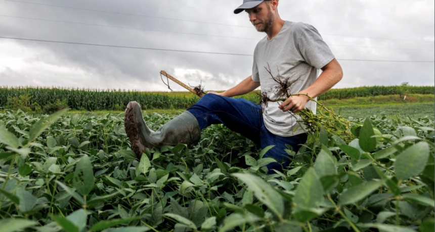 Radiografía del financiamiento bancario al sector agrícola