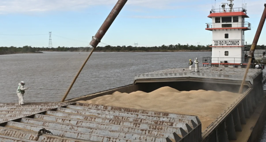 Harina de soja: exportaciones de EE. UU. en m&aacute;ximos hist&oacute;ricos