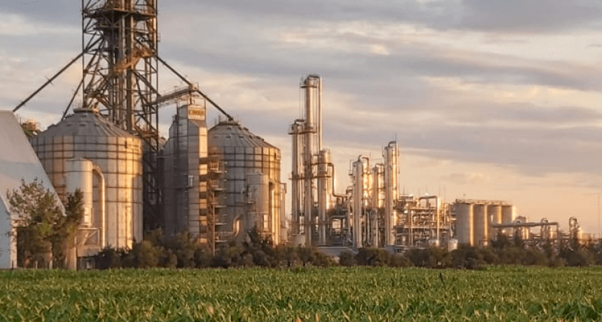 Subas y bajas: el &ldquo;pulso del agro&rdquo; late bien en general, pero con algunas irregularidades