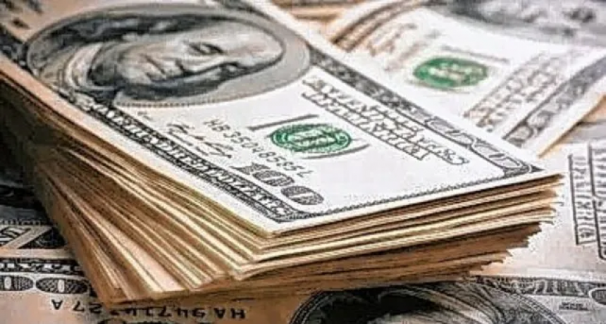 Para poder comprar el cupo de dólares hay que dar de baja la solicitud de subsidios 