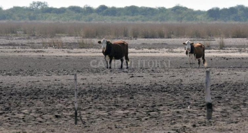  Apareció la plata para los créditos por emergencia en el norte