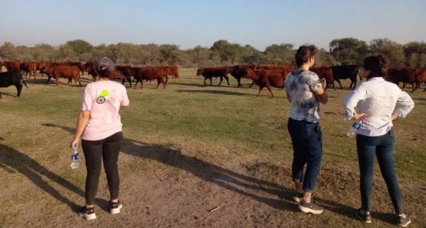 Un programa de buenas prácticas ganaderas en el norte santafesino