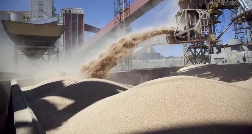 Dólar soja: se multiplican las ventas y el Banco Central compró u$s 140 millones